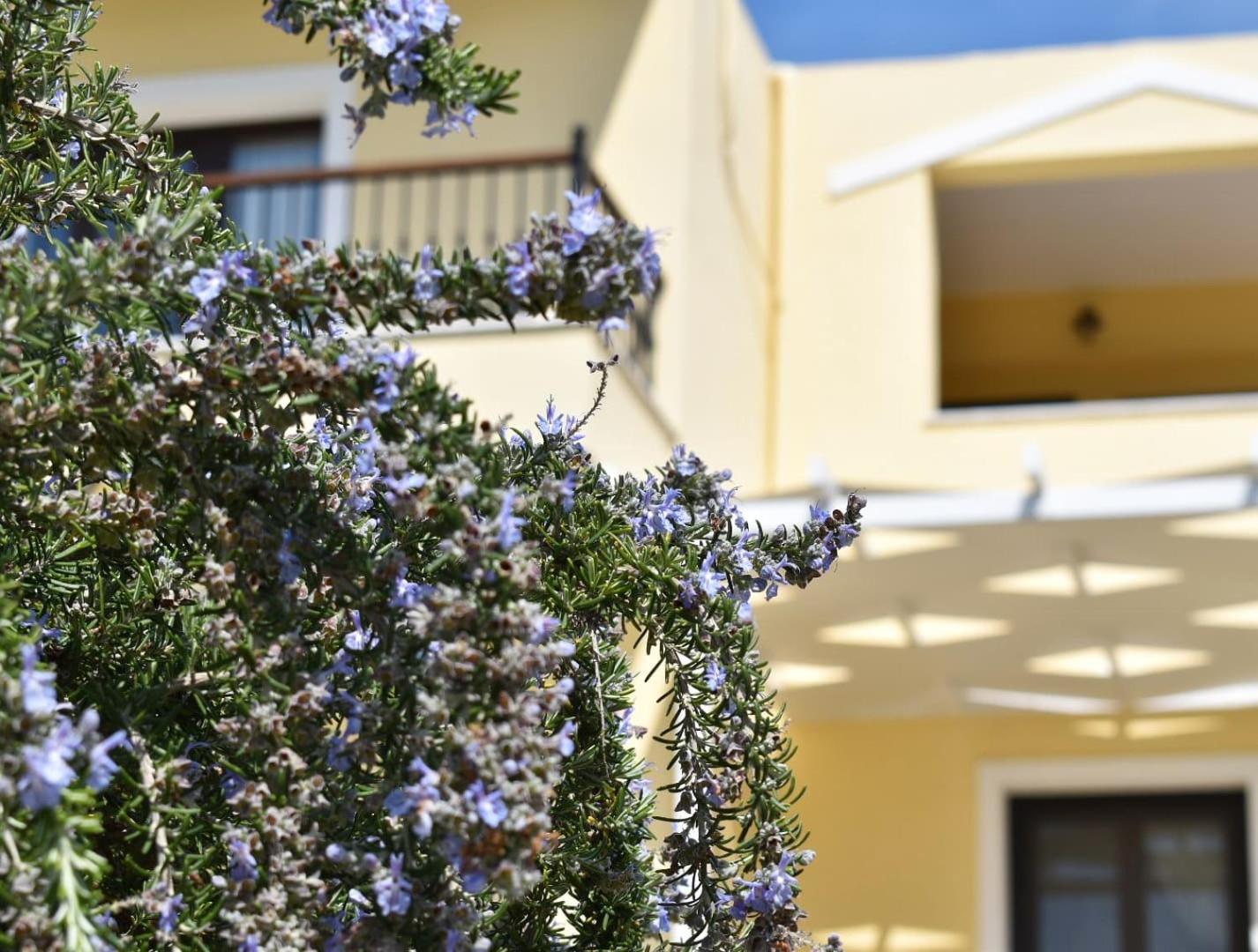 Anemi Superior Deluxe Suite Kolios Exteriér fotografie